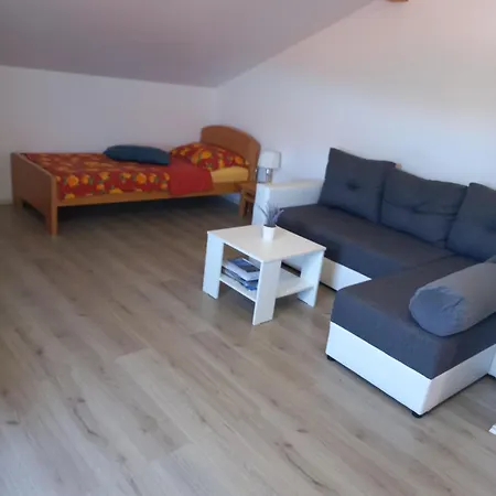 Dani *