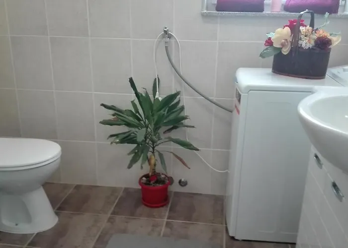 Dani Apartman Zára